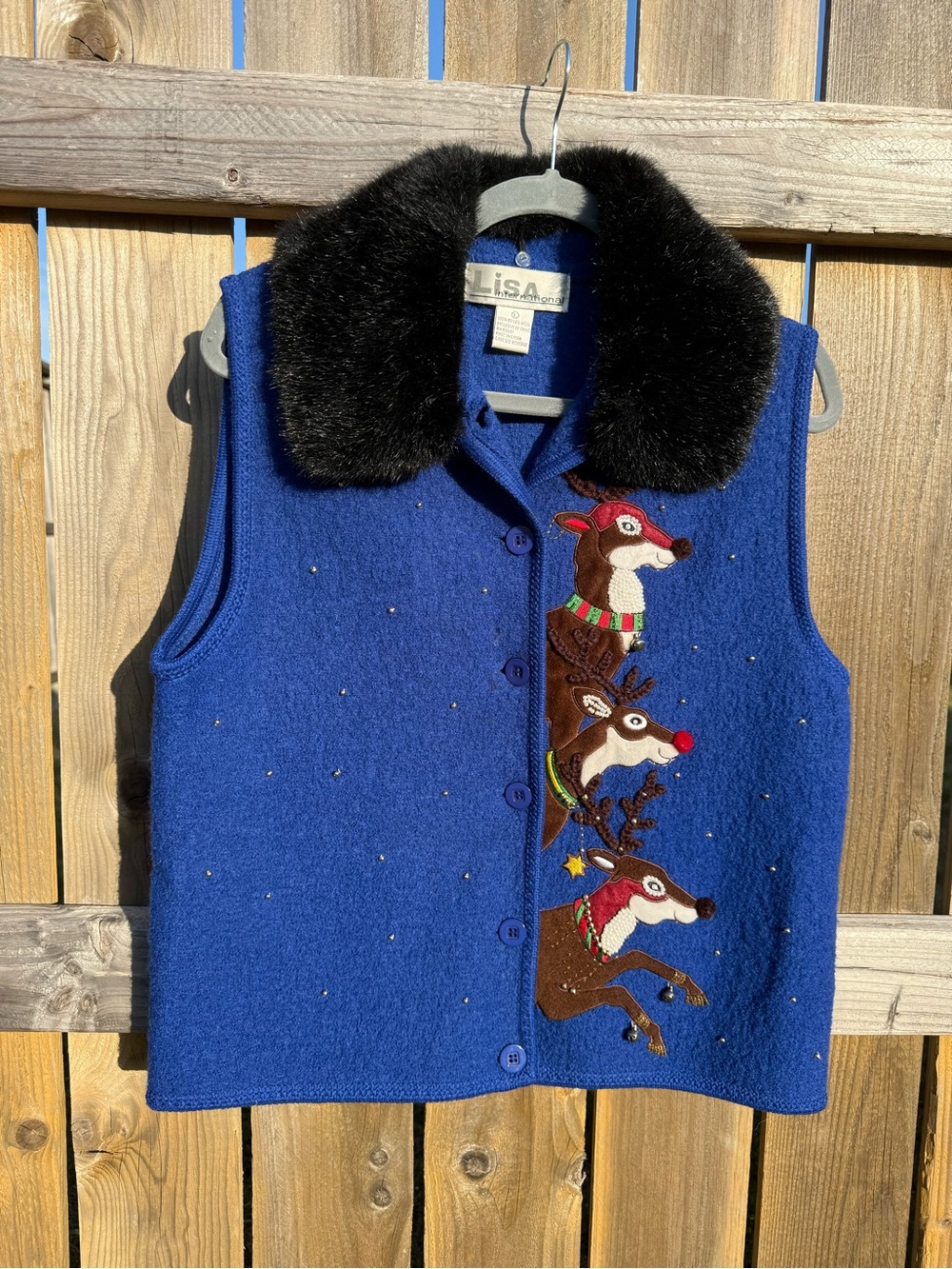 VINTAGE Lisa International 100% Boiled Wool Vest